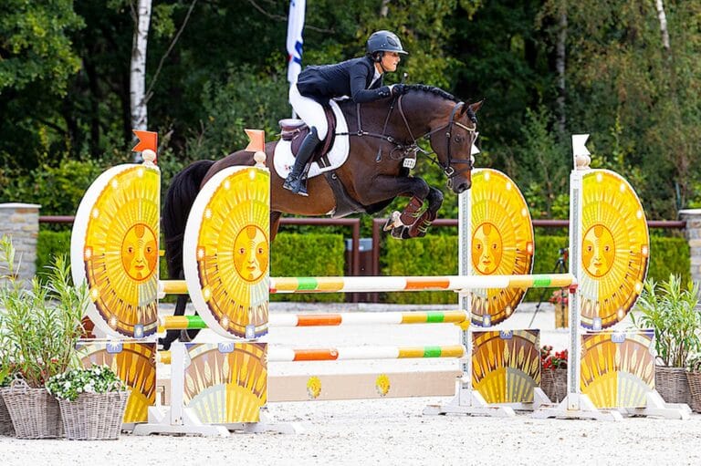 17705501-b66b35a16fbe3ae9cc7c