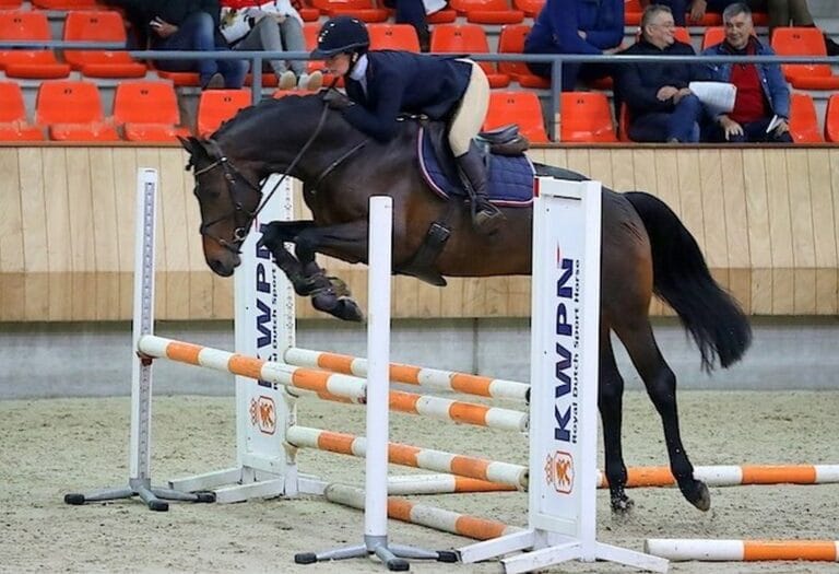 love-connects-verrichting-phiel